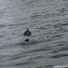 Koeln2014_1 (32)